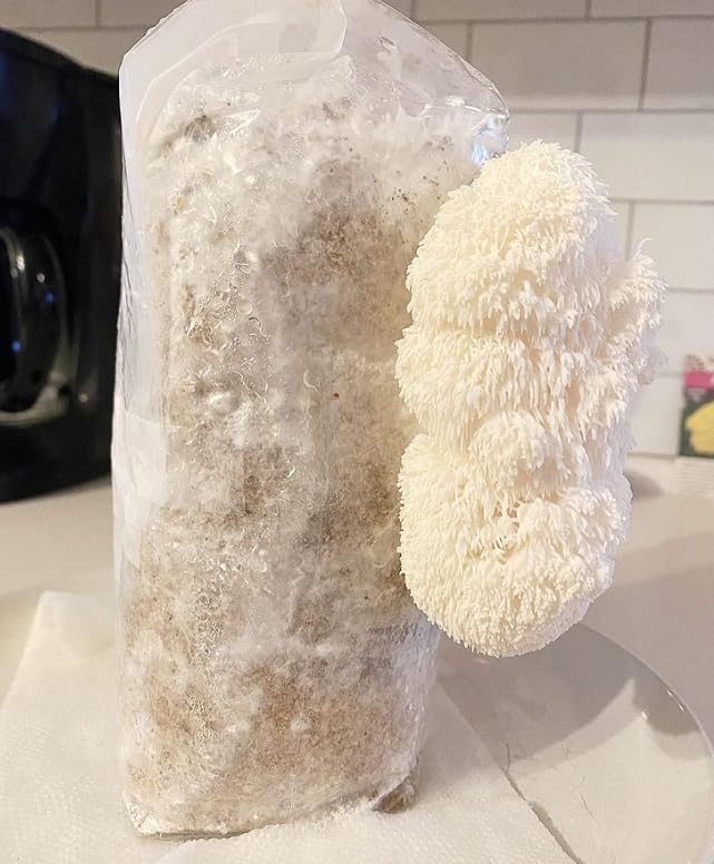 White sponge with a fluffy texture on a white surface