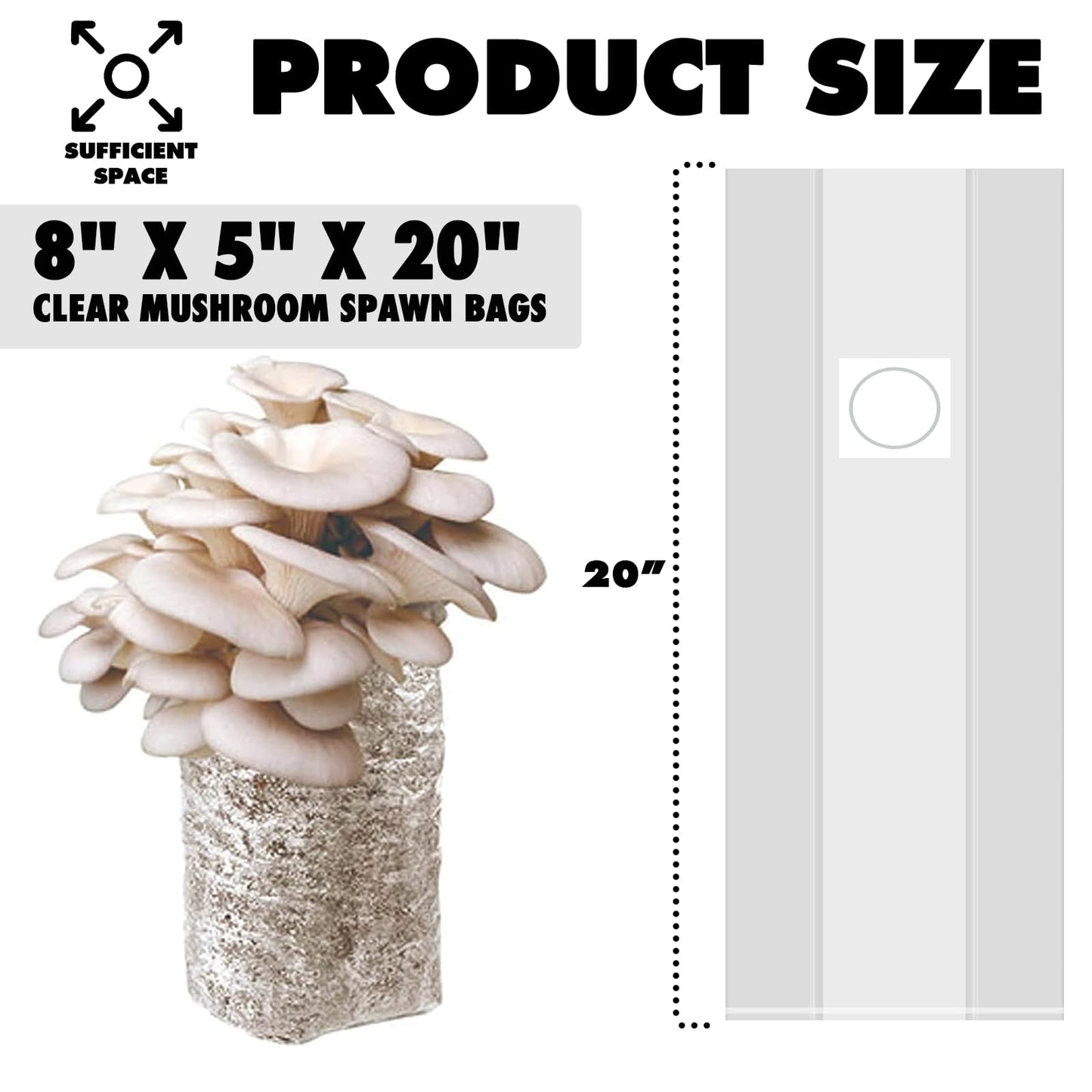 Clear mushroom spawn bags with dimensions labeled on a white background