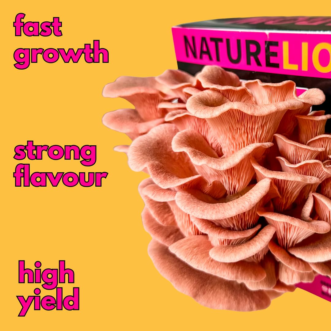 Close-up of pink mushrooms with 'NatureLion' branding and text about growth, flavor, and yield on a yellow background.