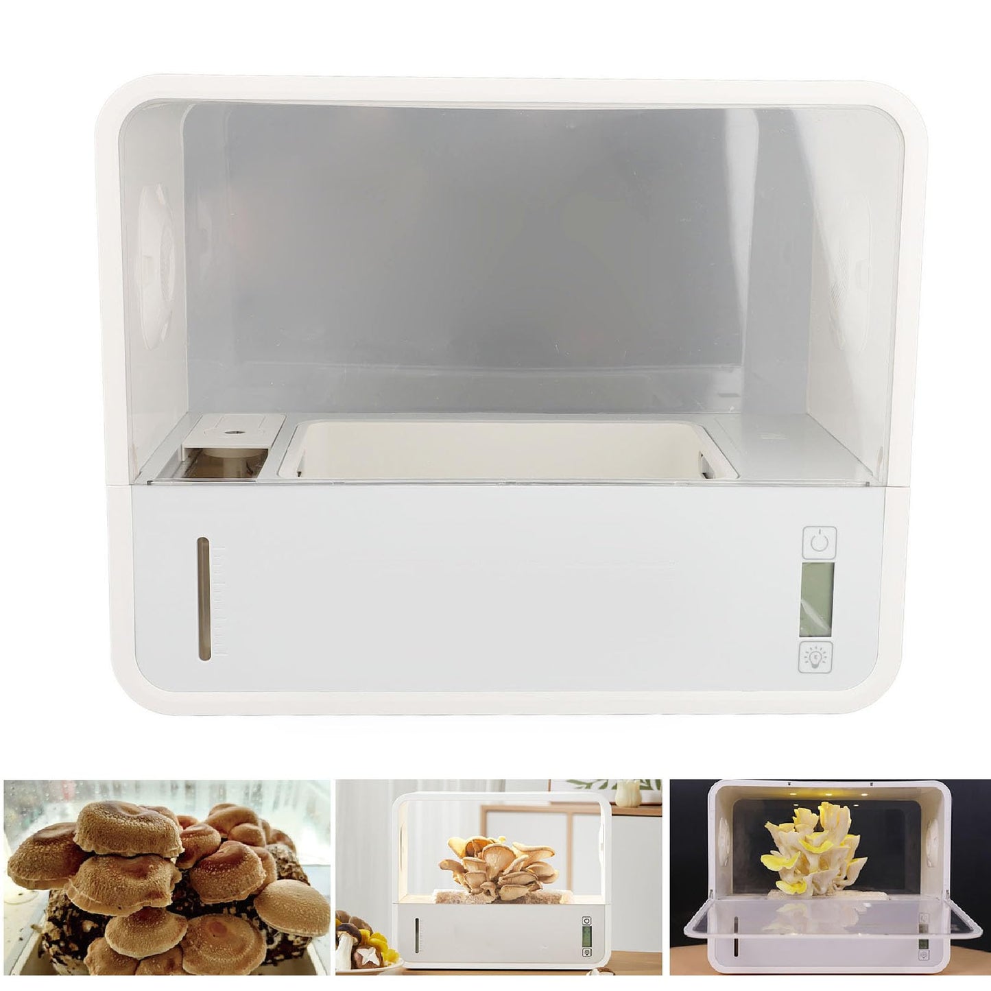 Smart Mushroom Growing Tent