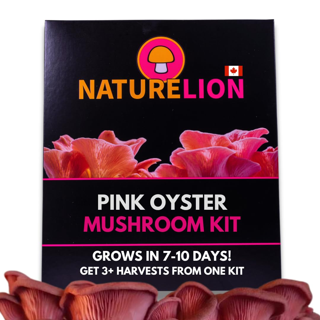 Nature Lion pink oyster mushroom kit packaging with pink mushrooms in front