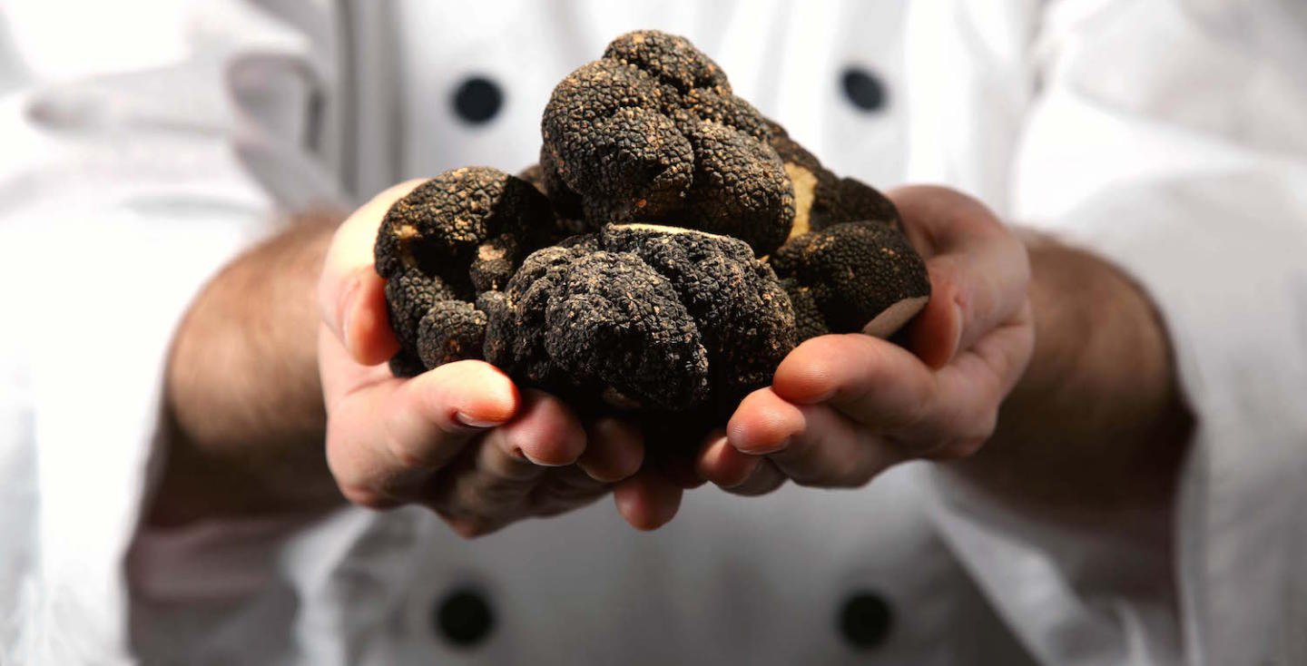 Hands holding truffles with a chef's coat in the background