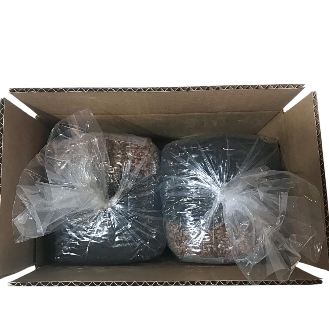 Two bags of seeds wrapped in plastic inside a cardboard box on a white background