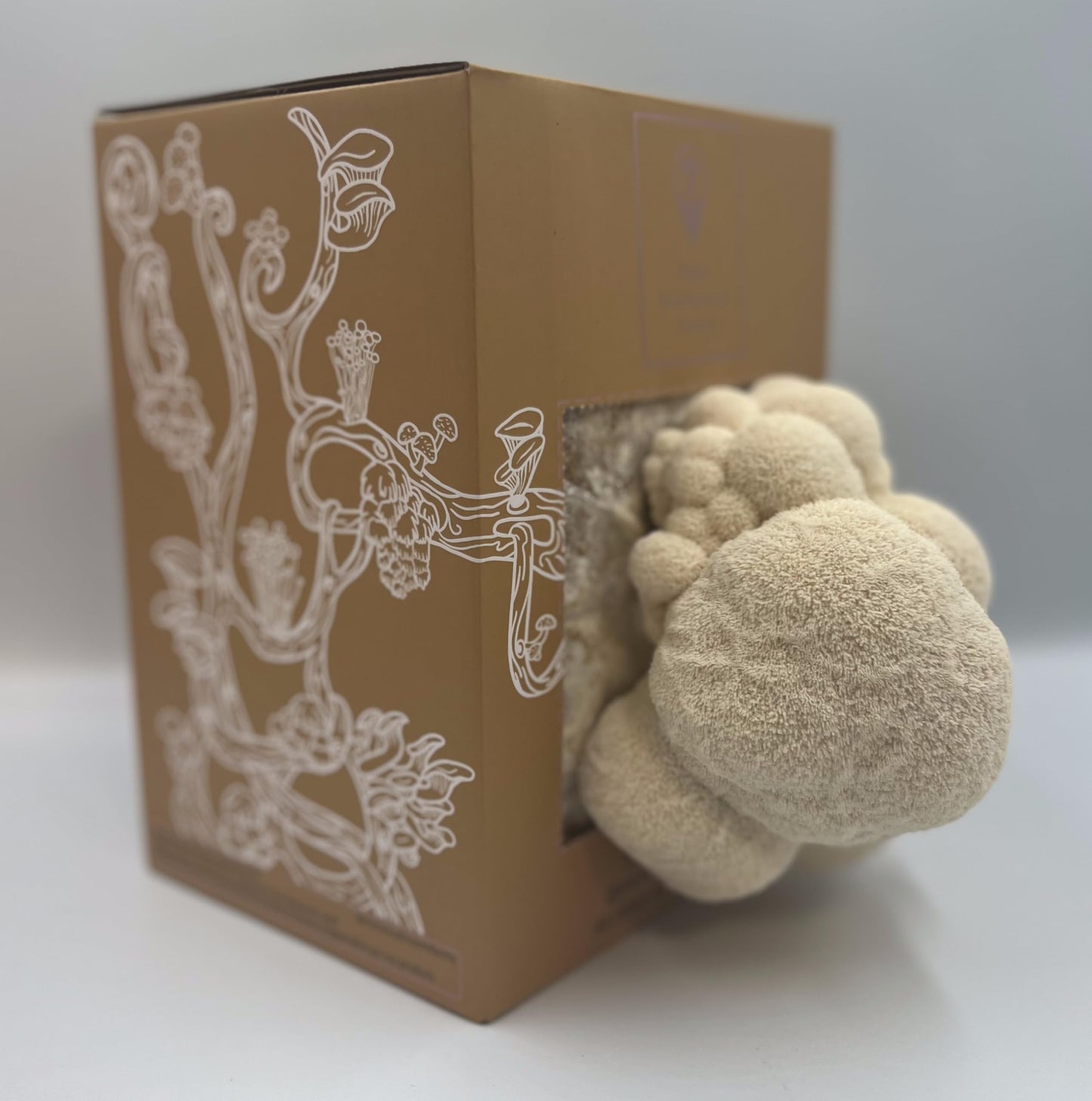 Lion’s Mane Mushroom Grow Bundle