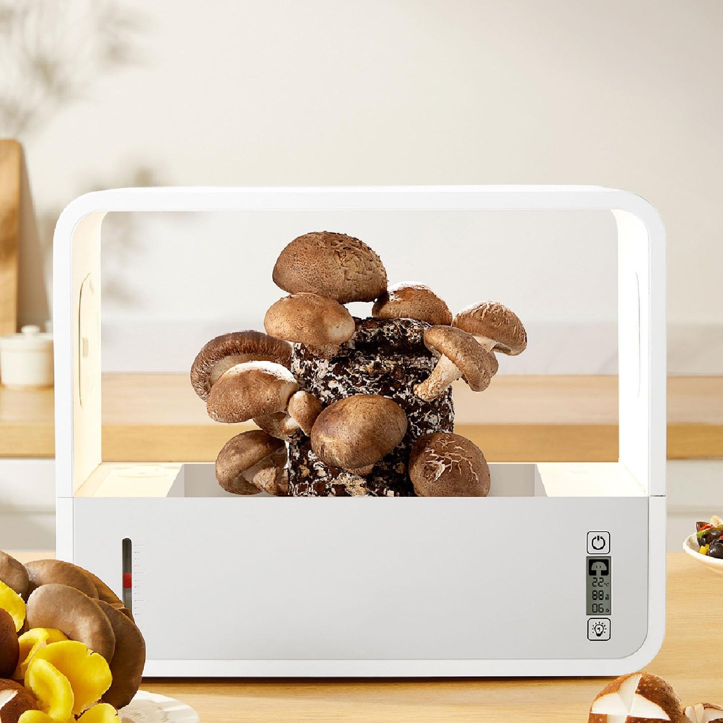 Smart Mushroom Growing Tent