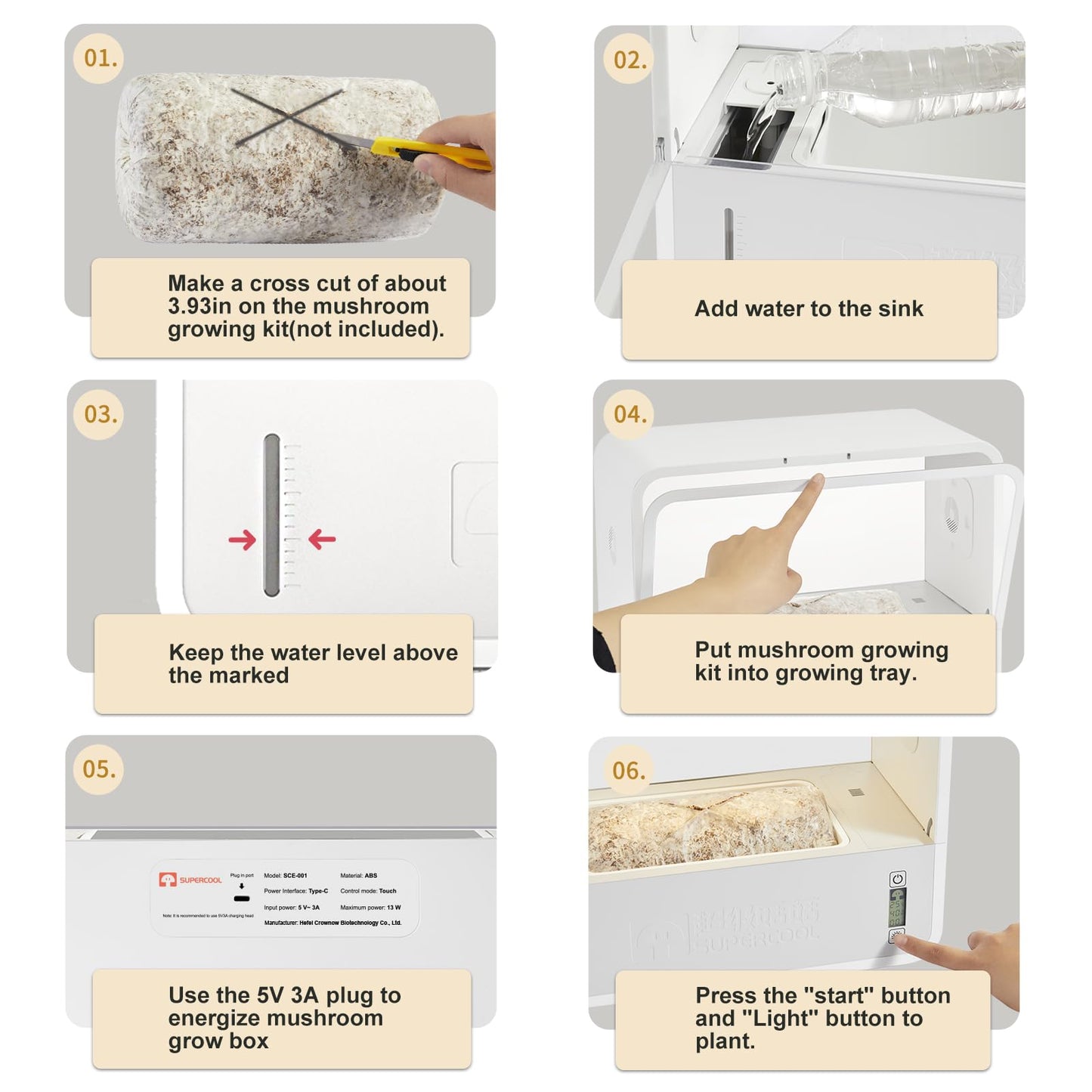 Step-by-step guide for mushroom growing with labeled instructions on a white background