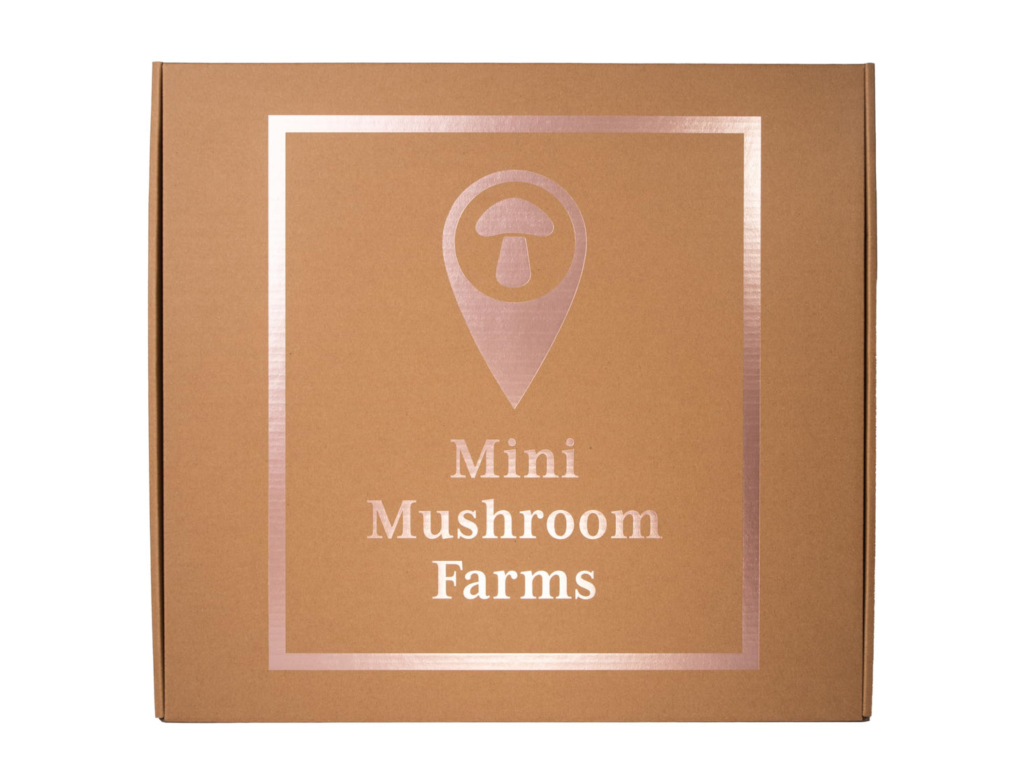 Lion’s Mane Mushroom Grow Bundle