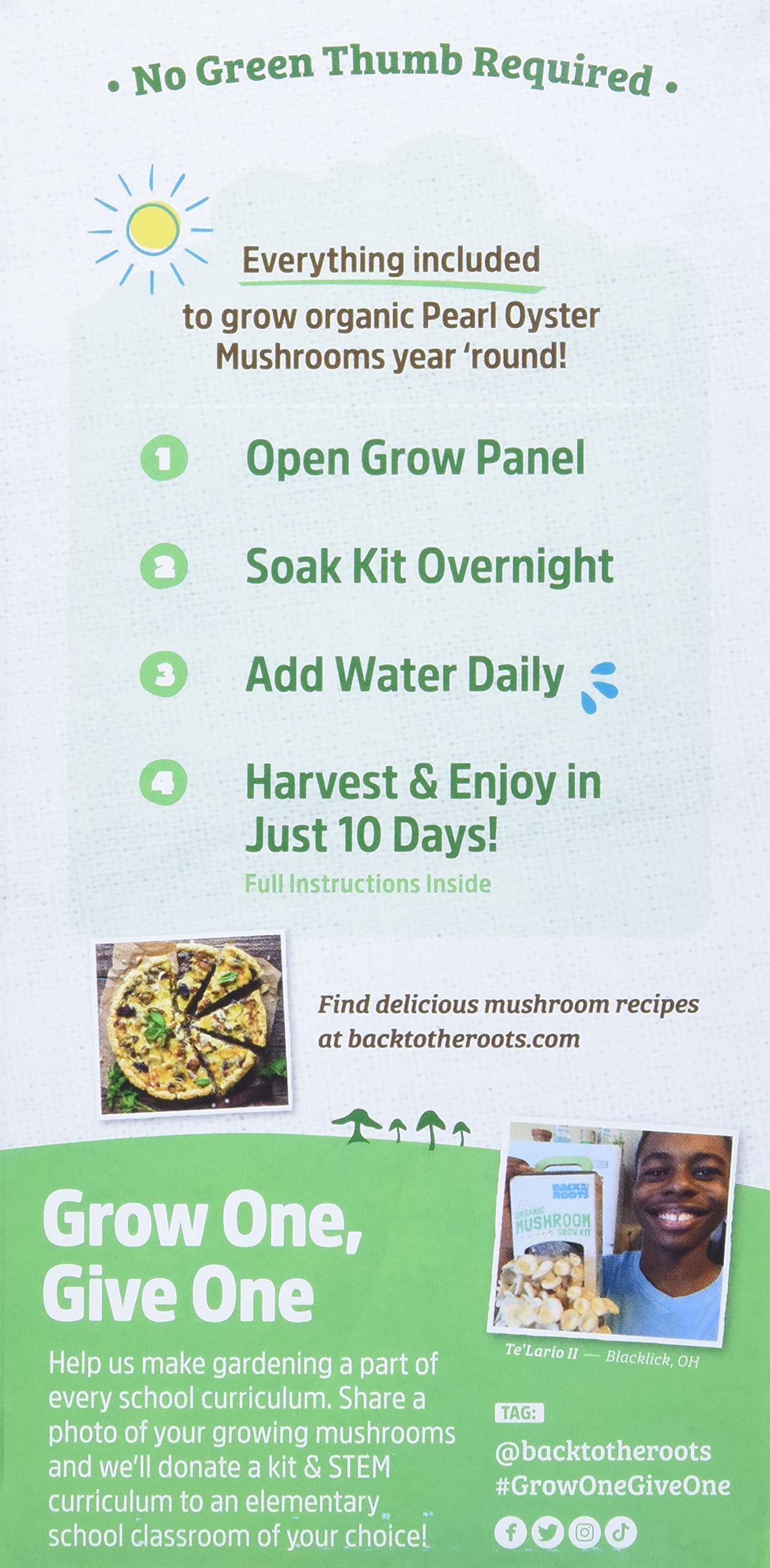 Promotional flyer for growing organic pearl oyster mushrooms with step-by-step instructions.