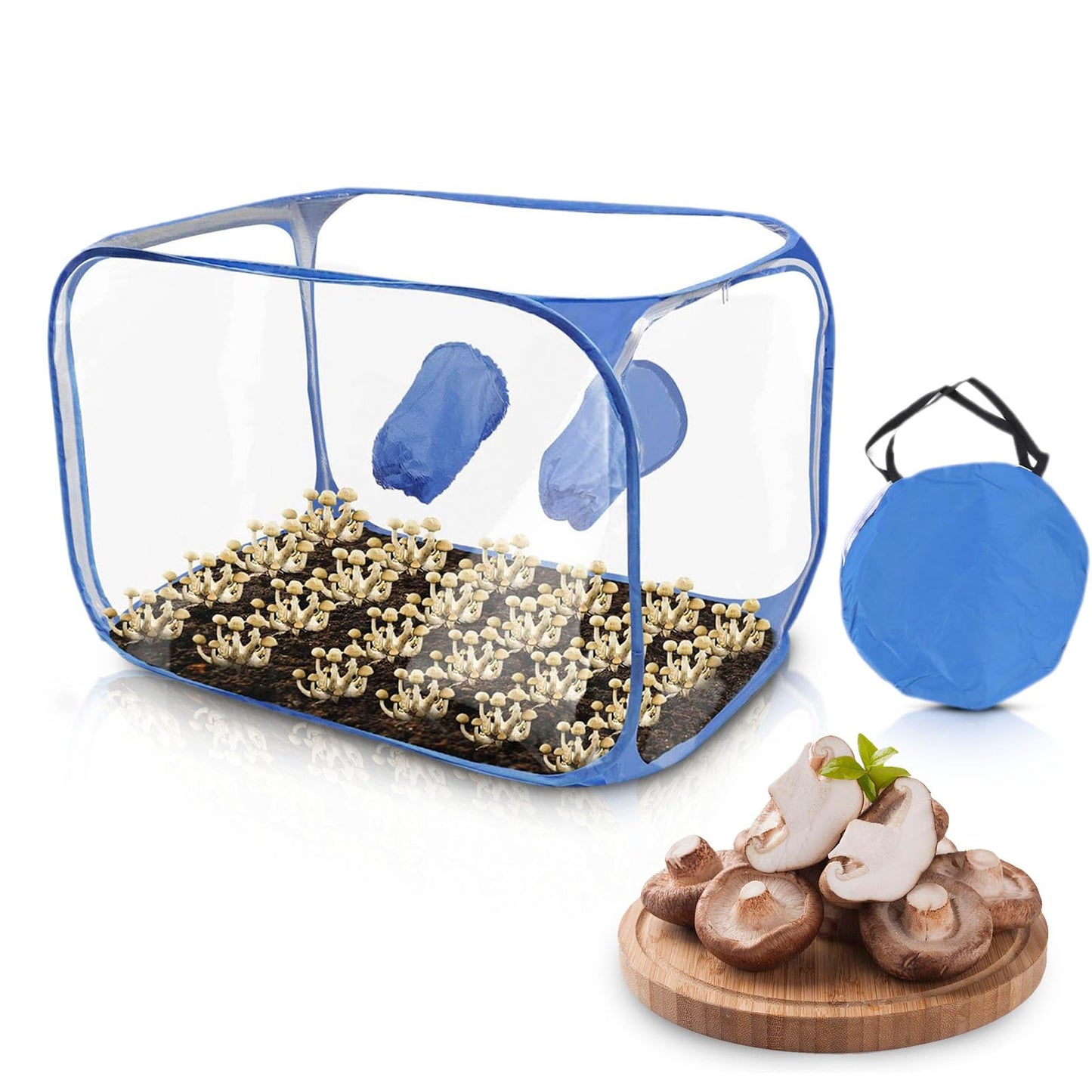 Clear grow tent with soil and sprouts, blue carrying case, and sliced mushrooms on a wooden board.