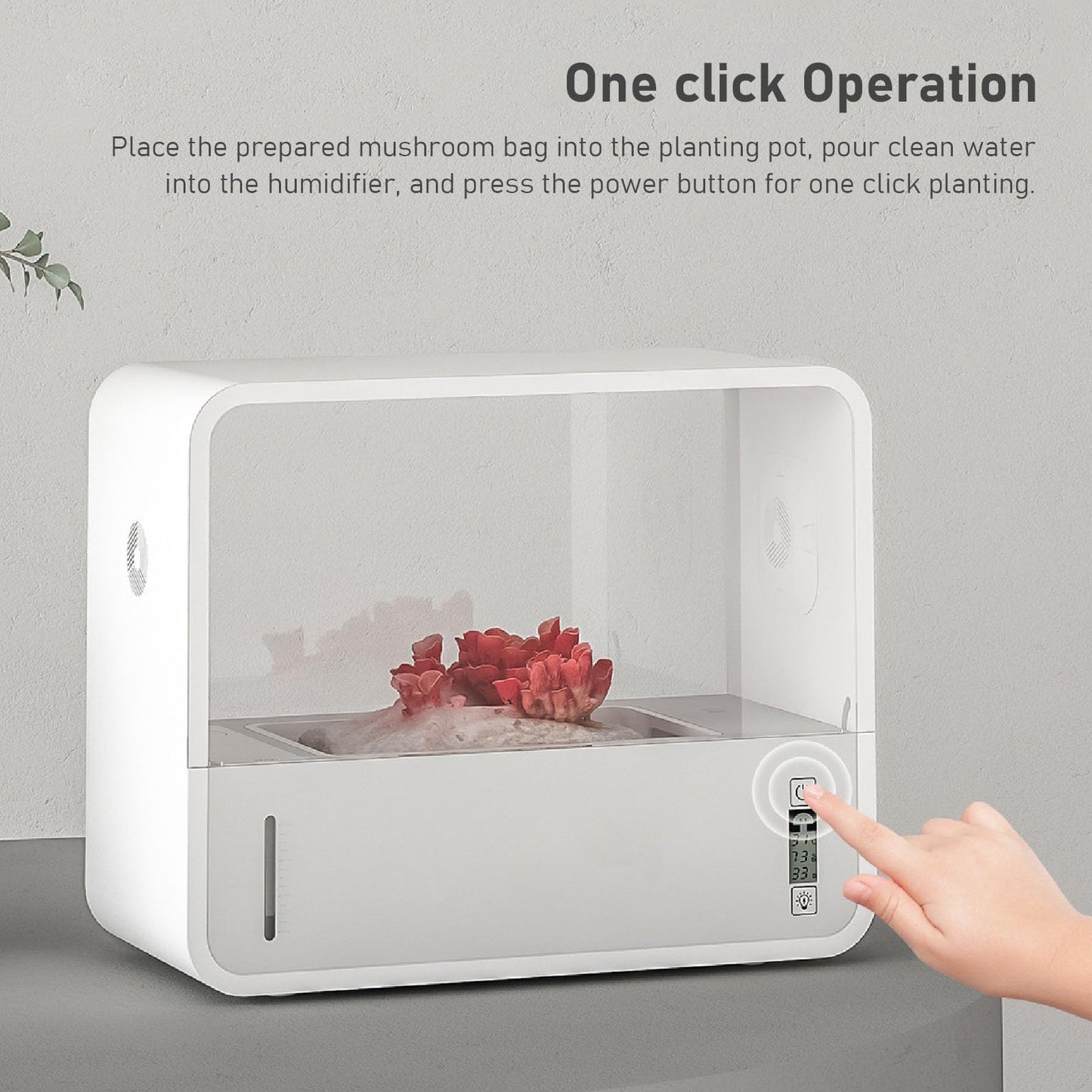 Smart Mushroom Growing Tent