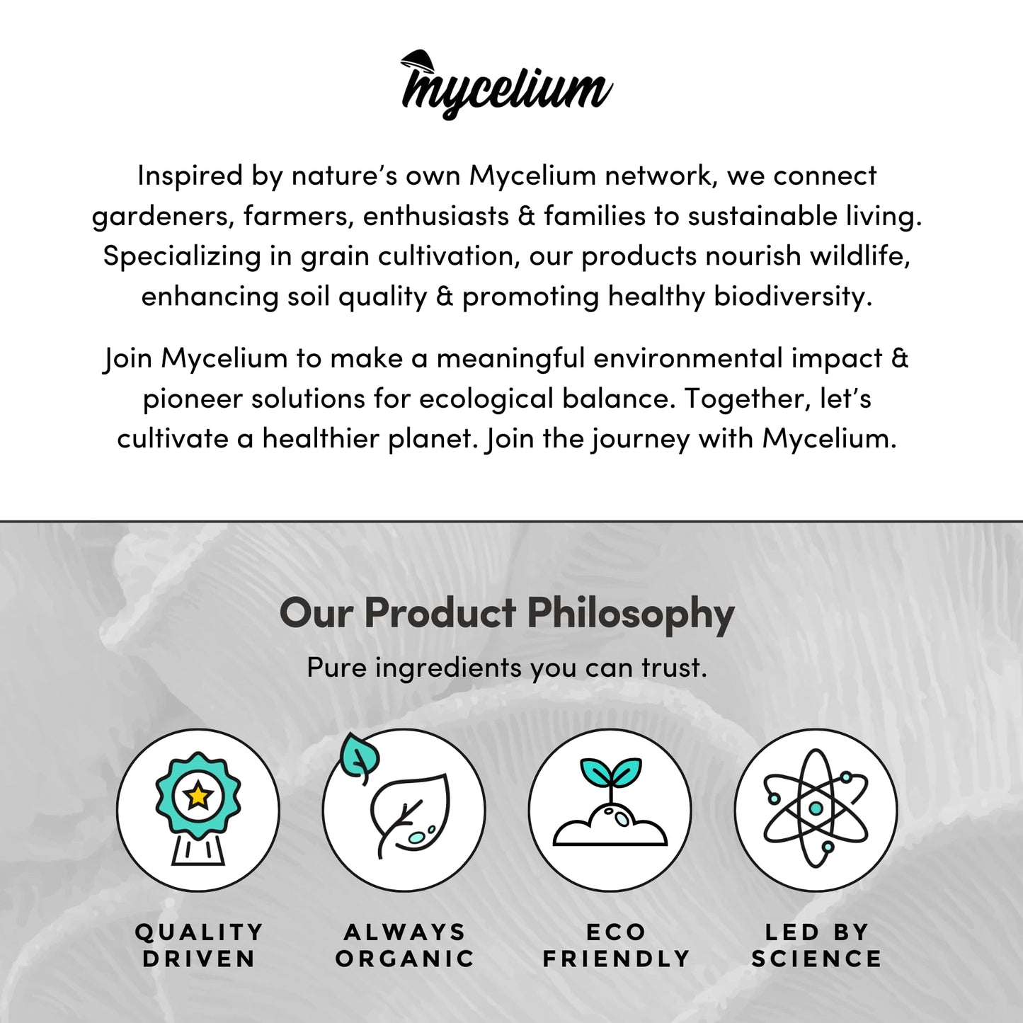 Mycelium brand description and product philosophy on a white background