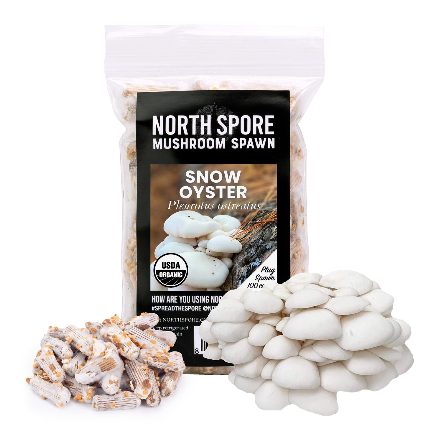 North Spore Mushroom Spawn packaging with snow oyster mushrooms on a white background