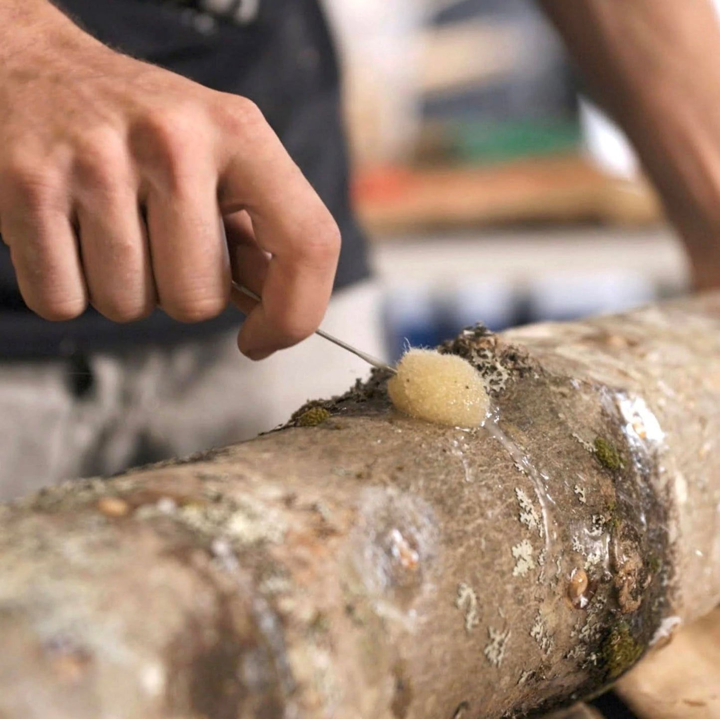Person cleaning a rusty metal pipe with a sponge