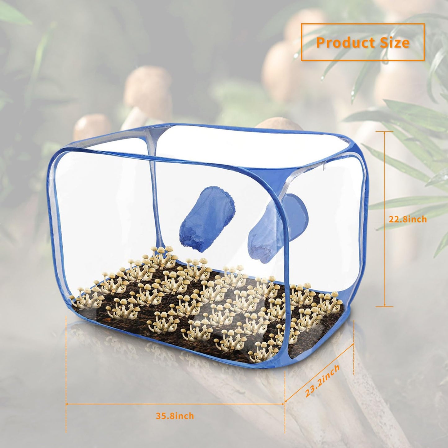 Clear grow tent with soil and small plants, held by blue gloves, on a blurred natural background.