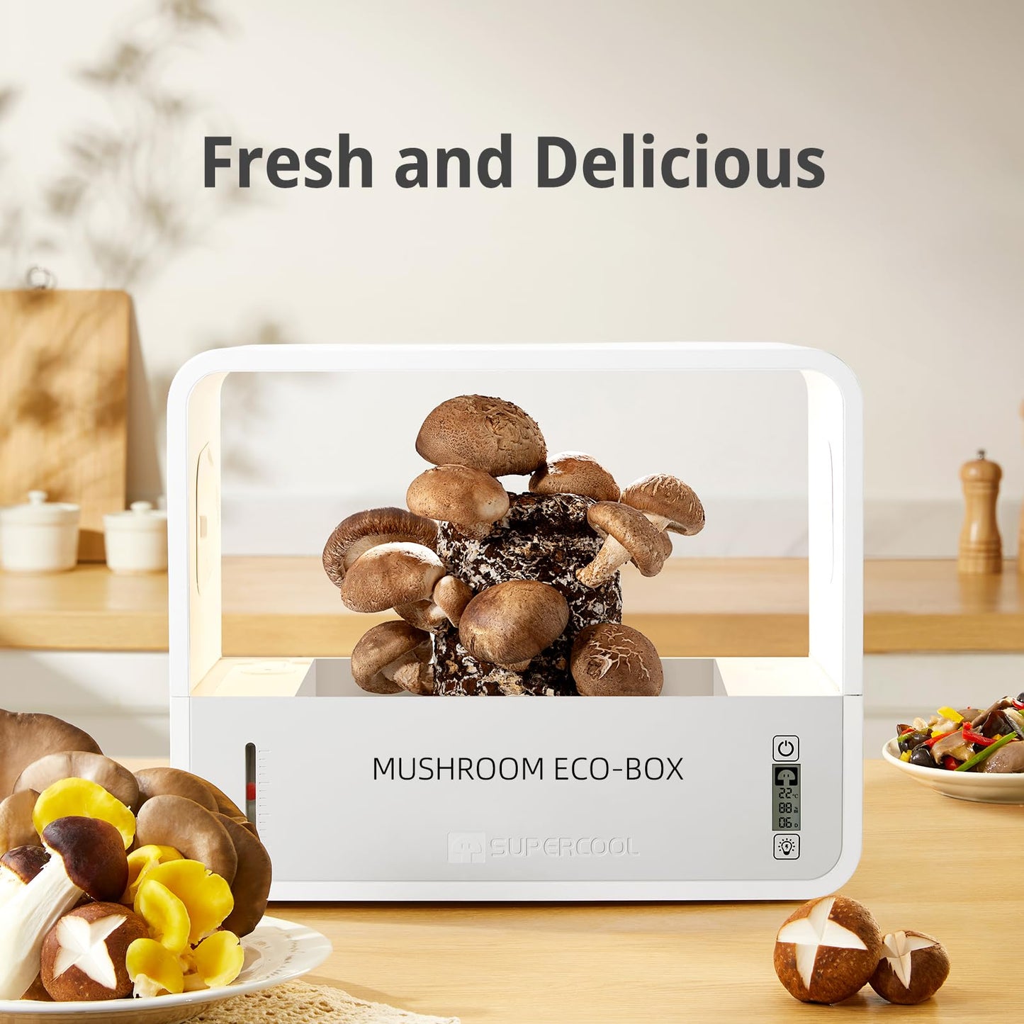 Mushroom eco-box with mushrooms on a wooden table, labeled 'Fresh and Delicious'.