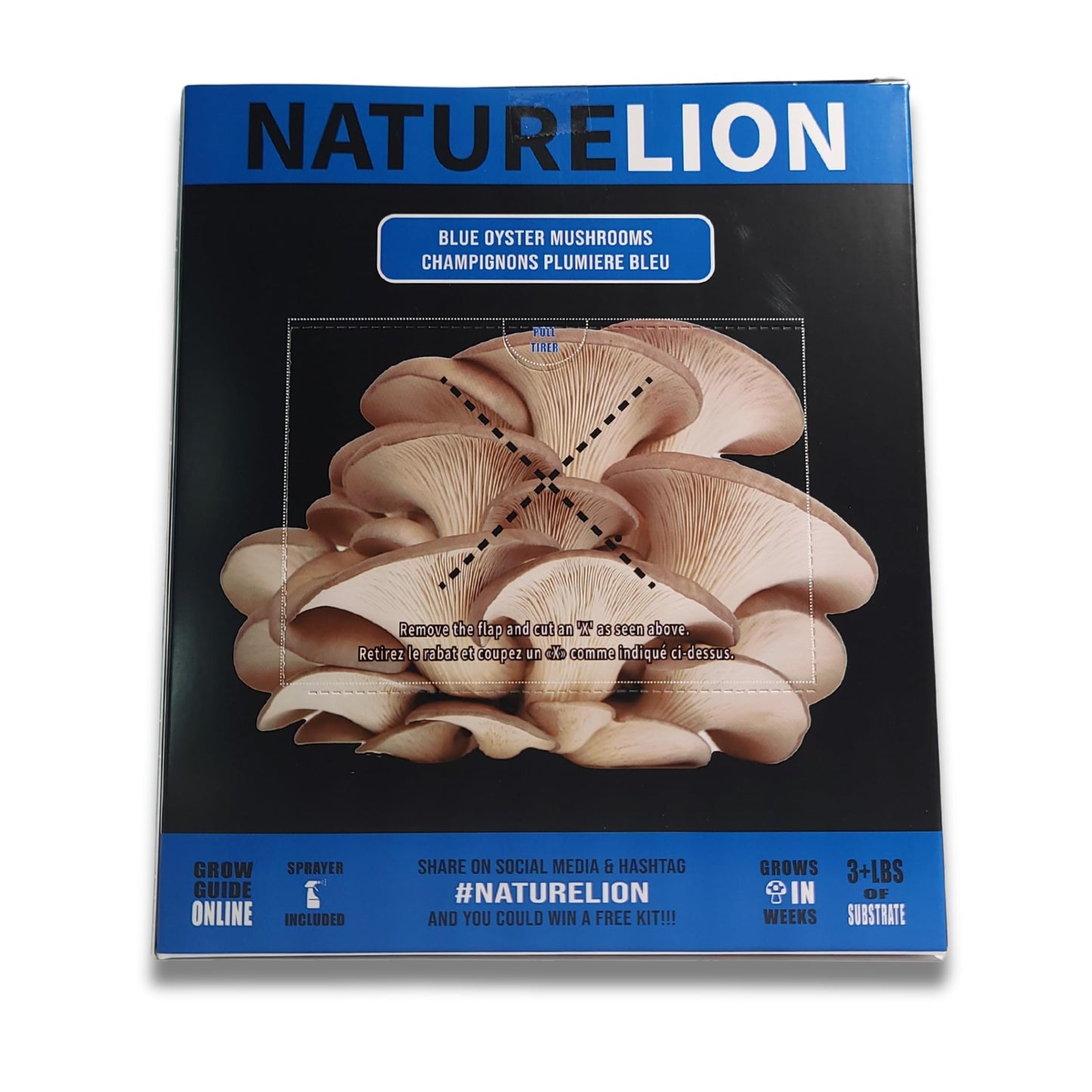 Blue Oyster Mushroom Grow Kit