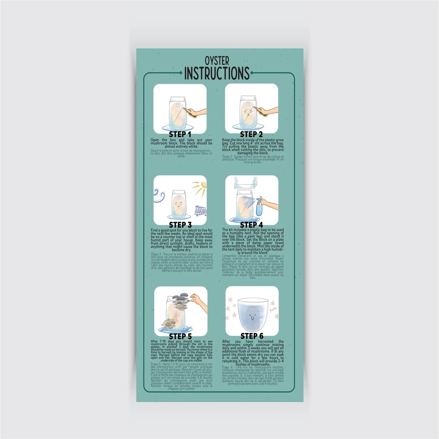 Oyster cleaning instructions on a teal background