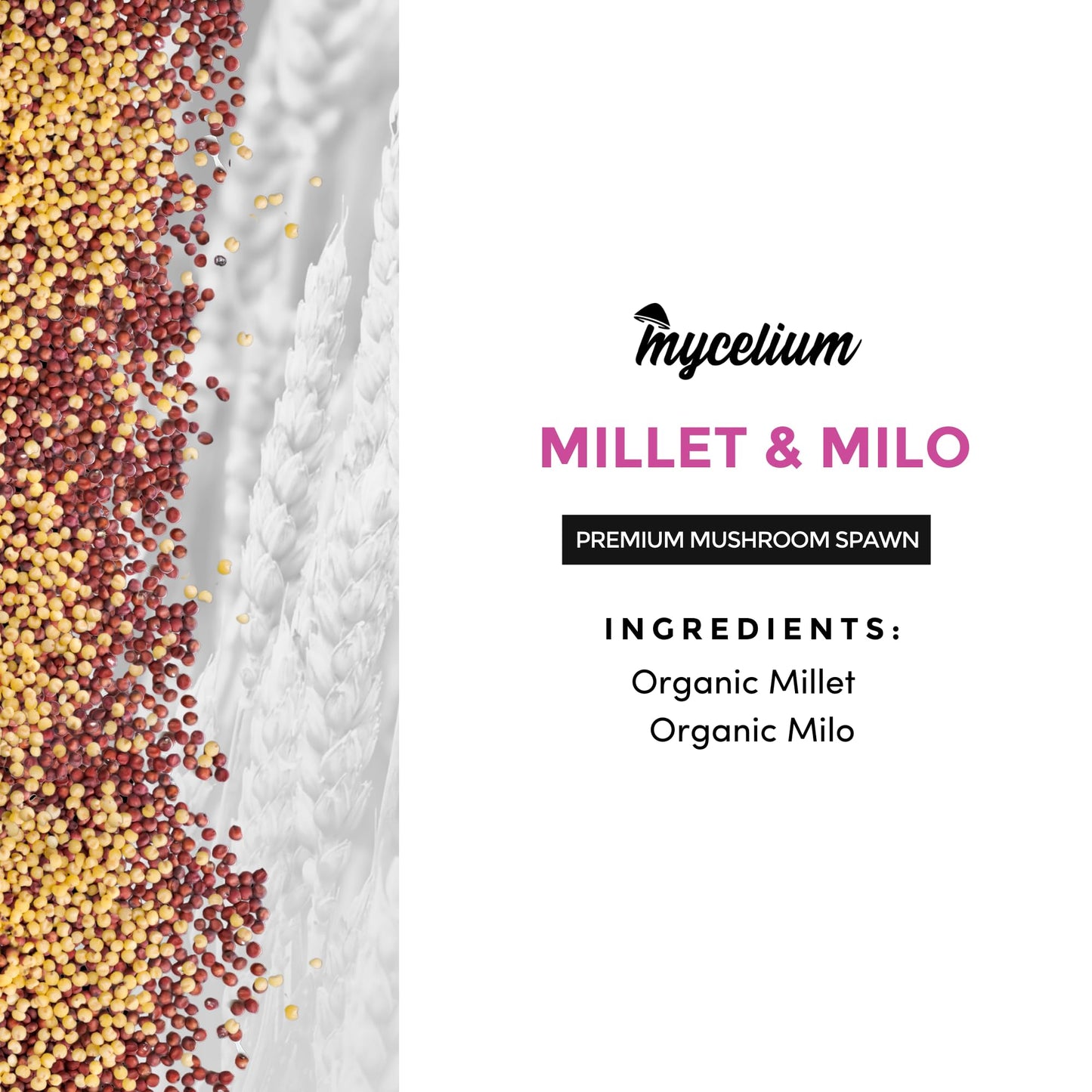 Mycelium Millet & Milo premium mushroom spawn packaging with ingredients listed.