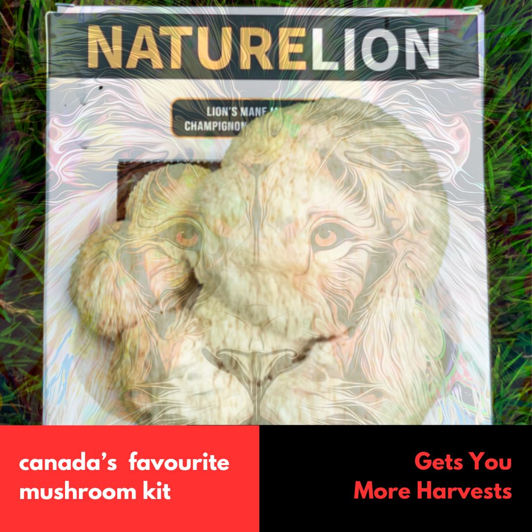 Nature Lion mushroom kit packaging on grass with promotional text.