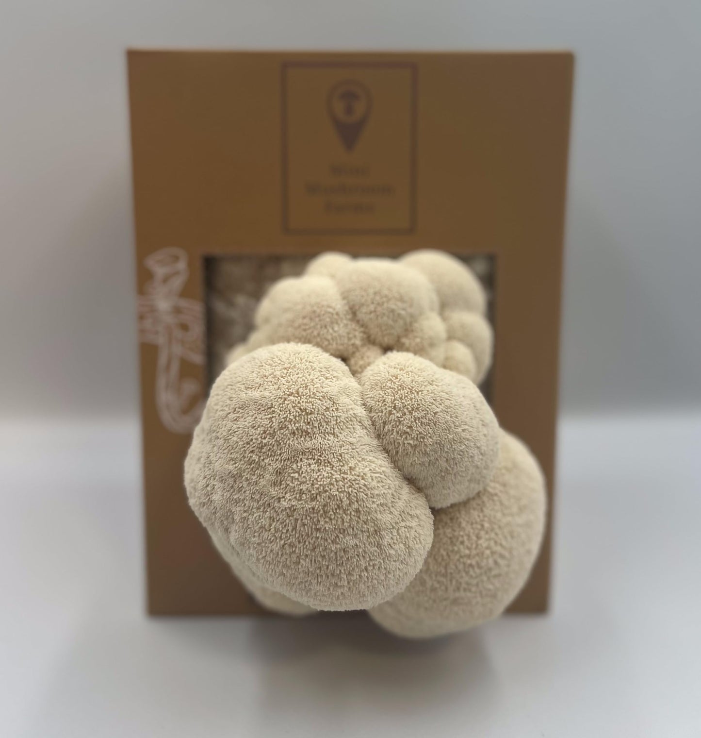 Lion’s Mane Mushroom Grow Bundle