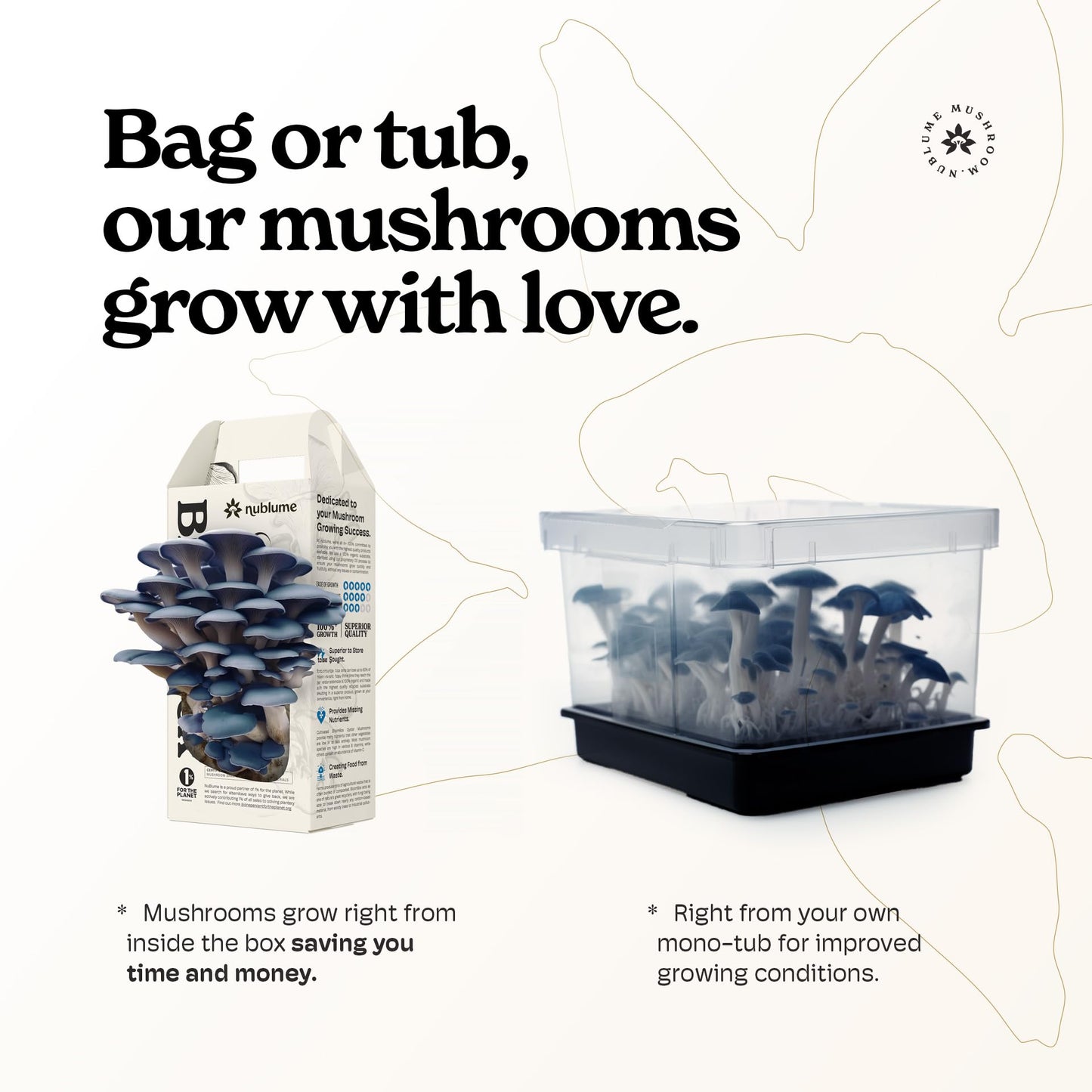 Mushroom-growing kit with packaging and mushroom growth inside a box on a white background.
