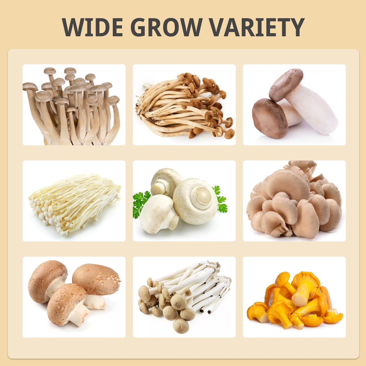 Collage of various types of mushrooms with 'Wide Grow Variety' text on a beige background.