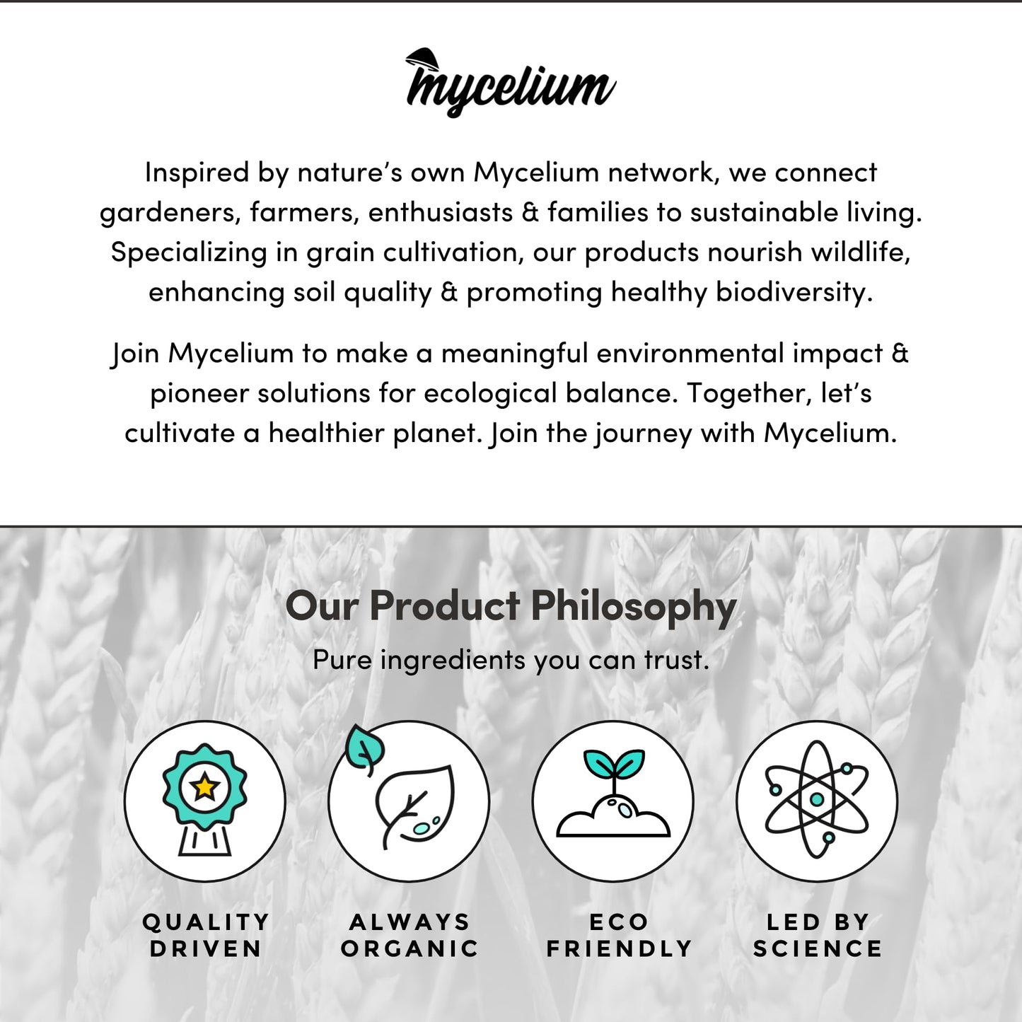 Mycelium brand description and product philosophy on a textured background