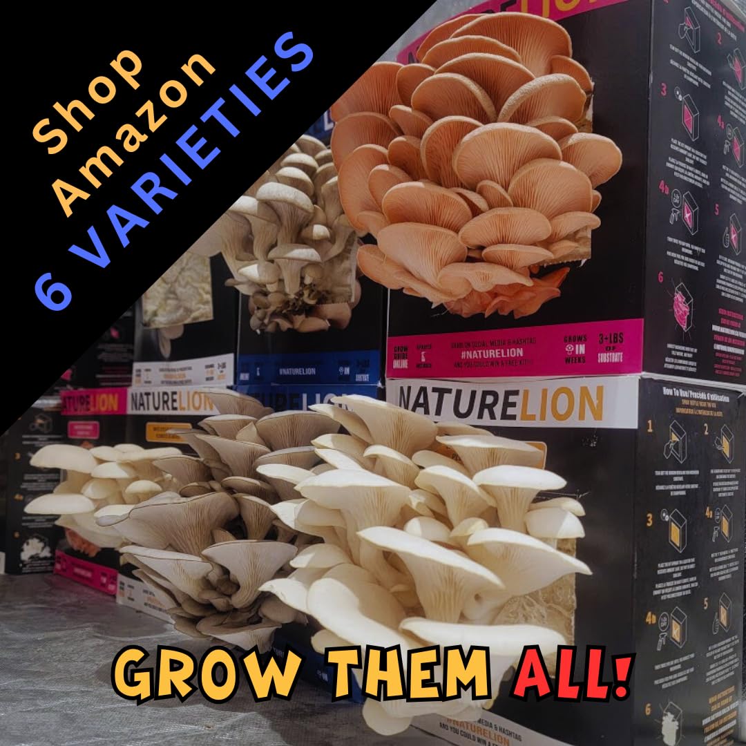 Blue Oyster Mushroom Grow Kit