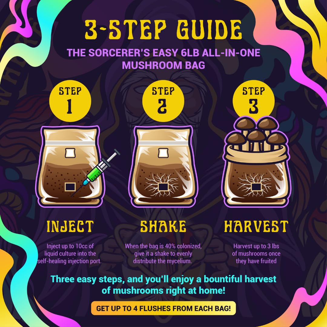 3-step guide for mushroom cultivation in a bag with colorful border