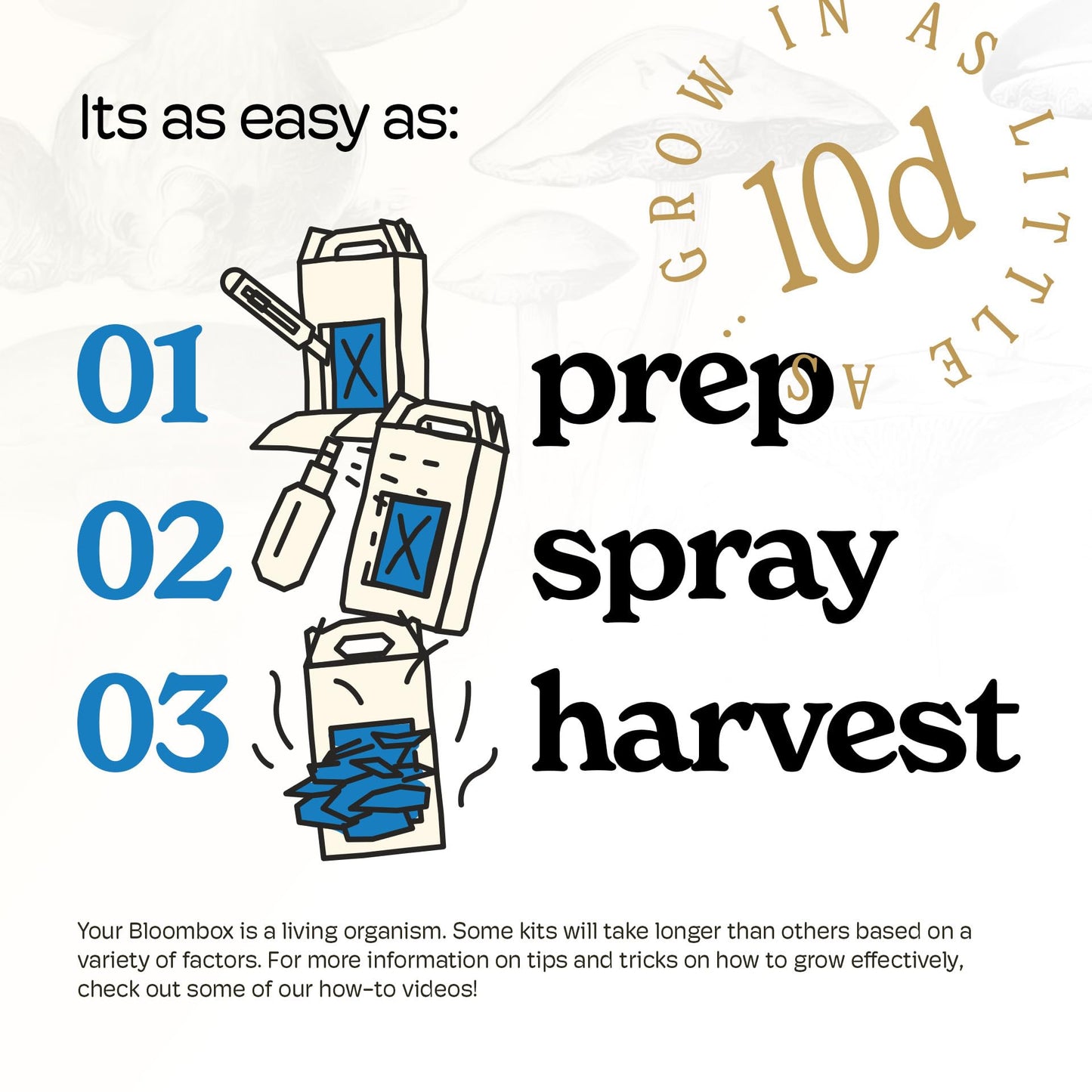 Step-by-step gardening process with text 'prep spray harvest' on a white background