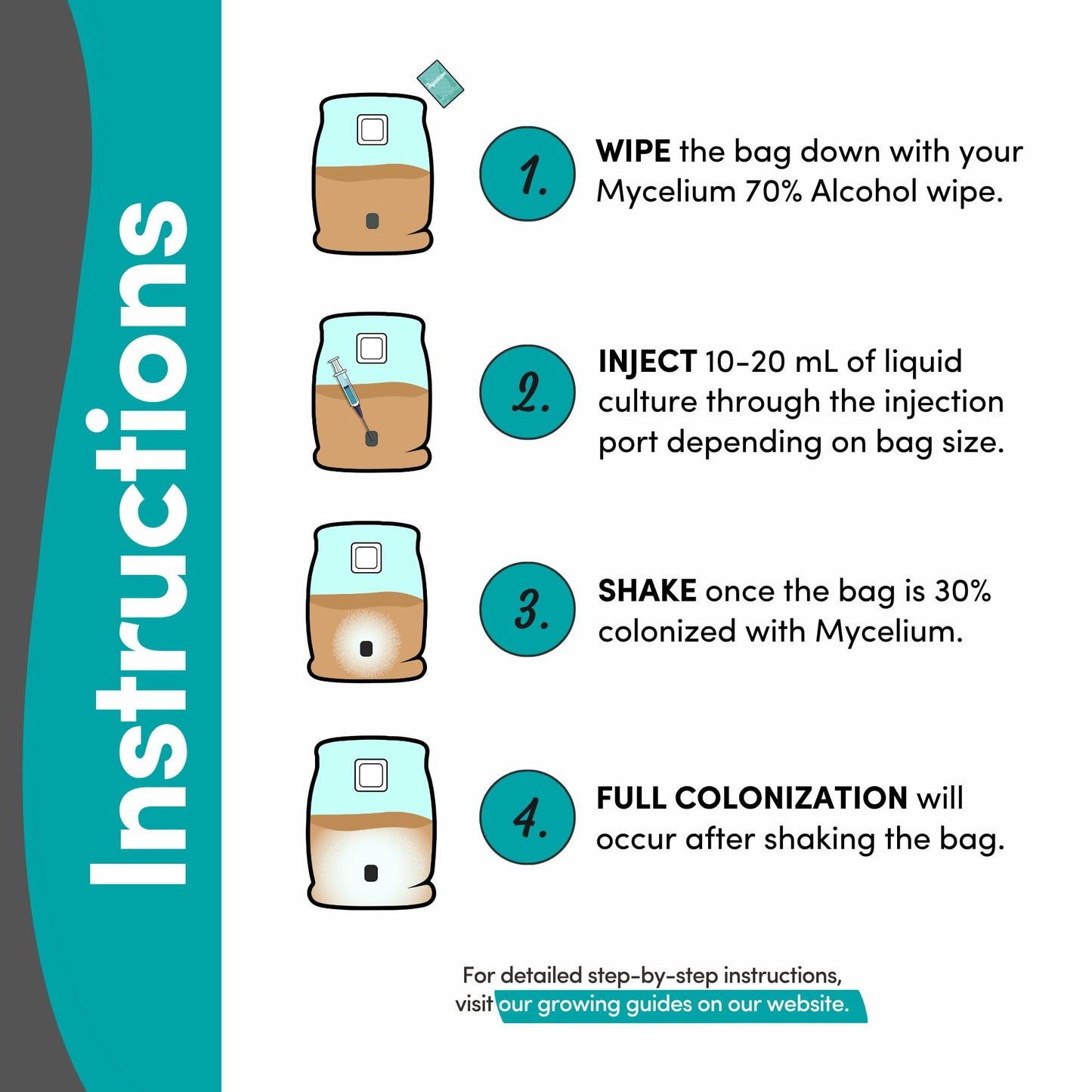 Step-by-step instructions for growing mycelium with illustrations and text.