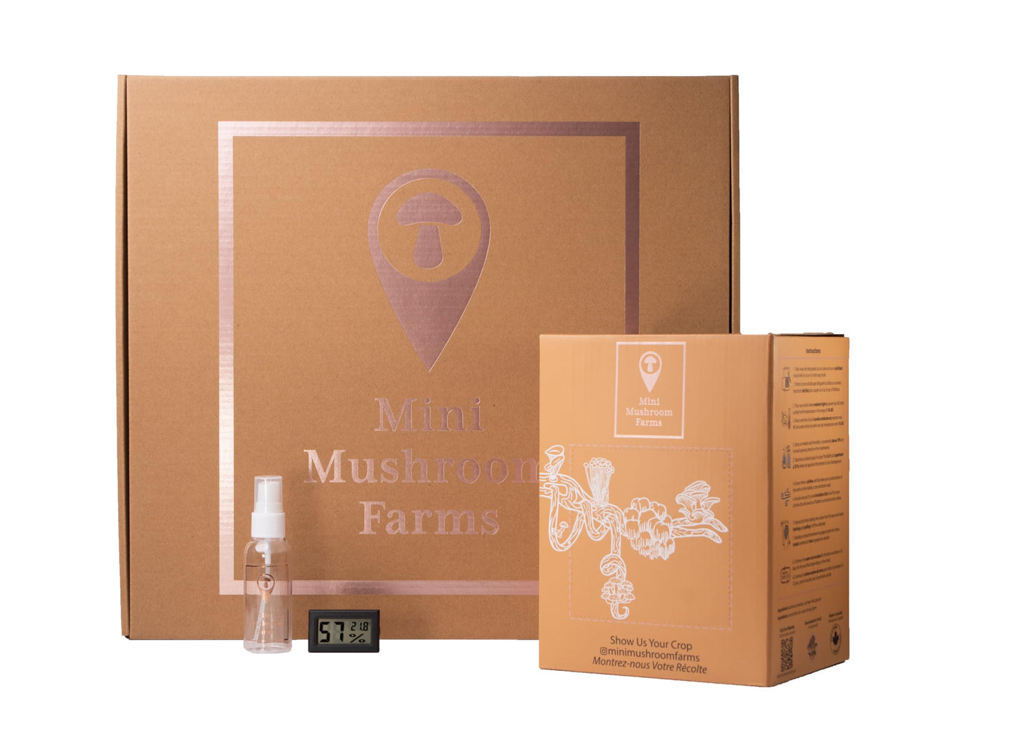 Two cardboard boxes with branding and product display on a white background