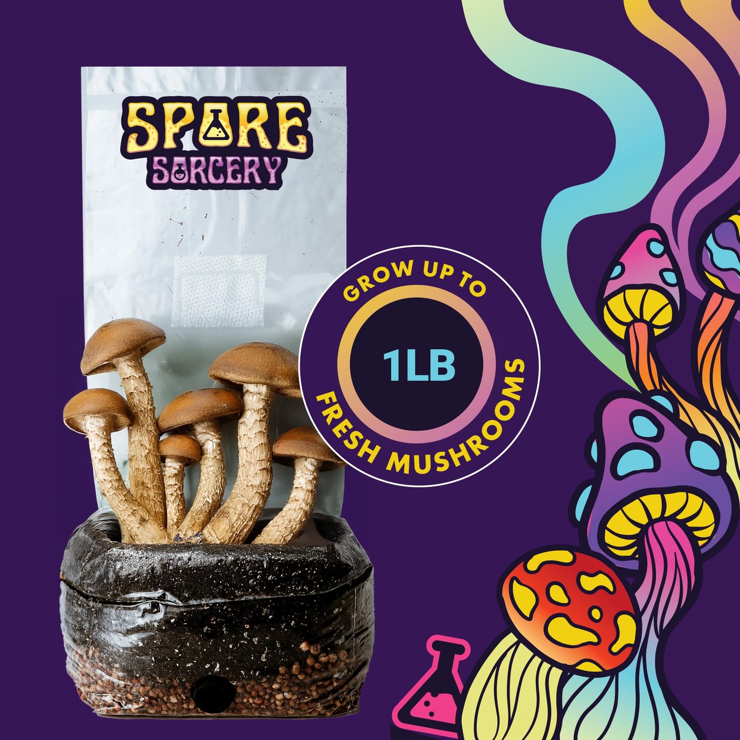 Mushroom growing kit with 'Spore Sorcery' packaging on a purple background with mushroom illustrations.