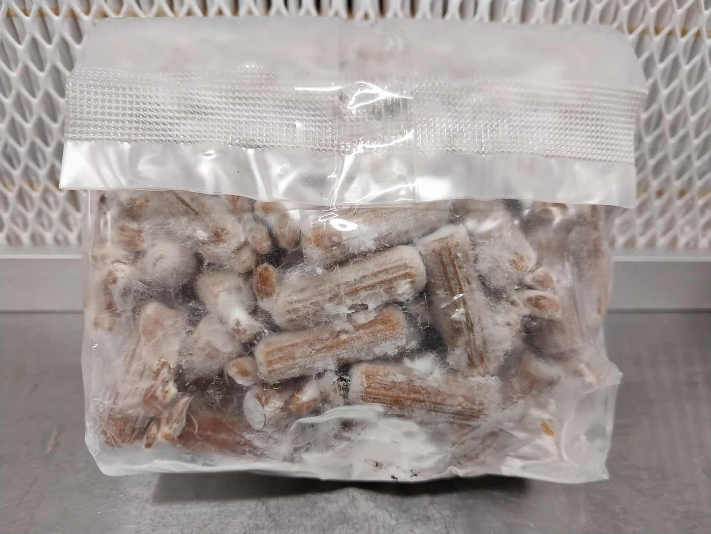 Pearl Oyster Mushroom Plug Kit