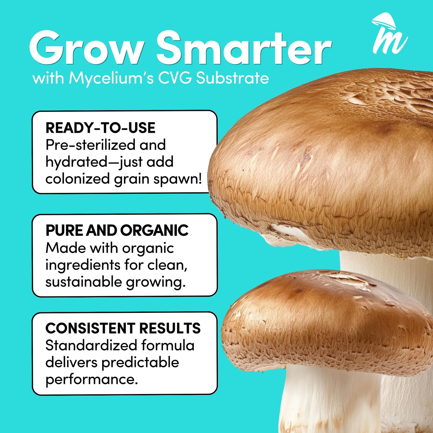 Mushroom cultivation product with text on a blue background