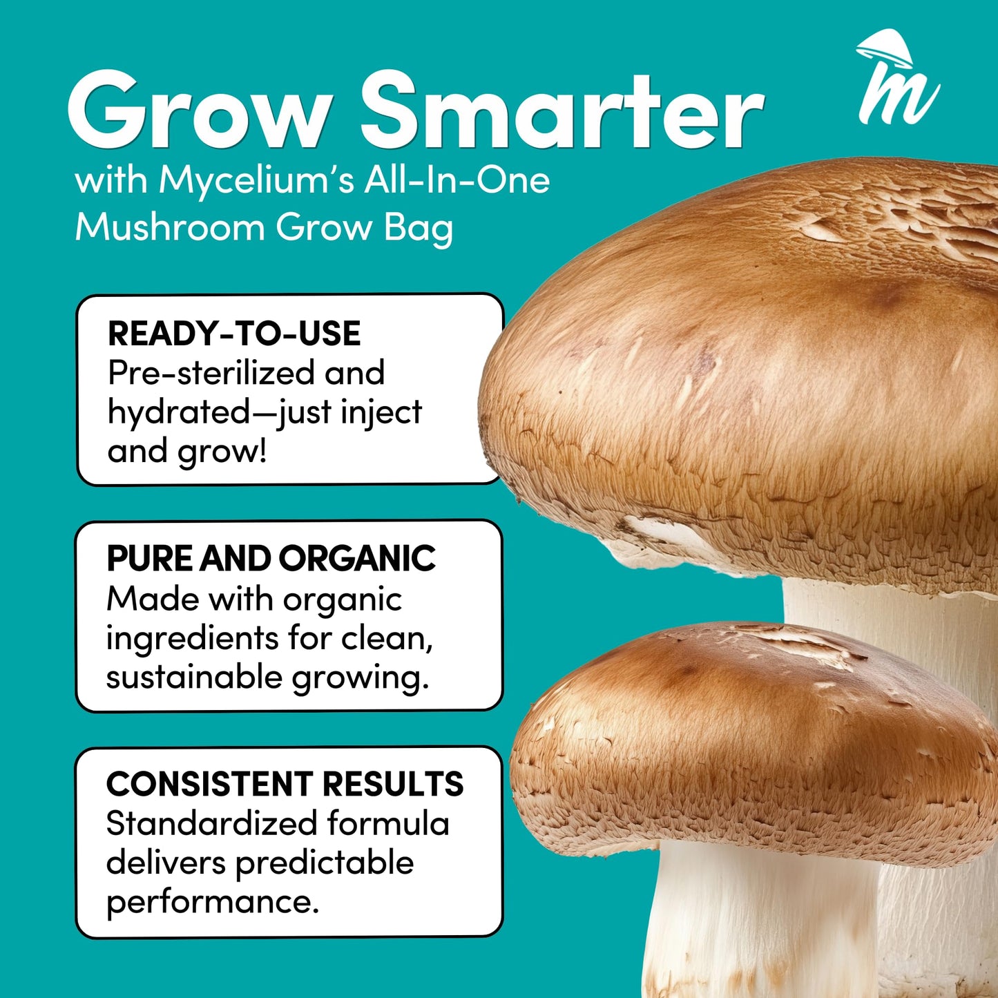 Mushroom grow bag with text on a teal background