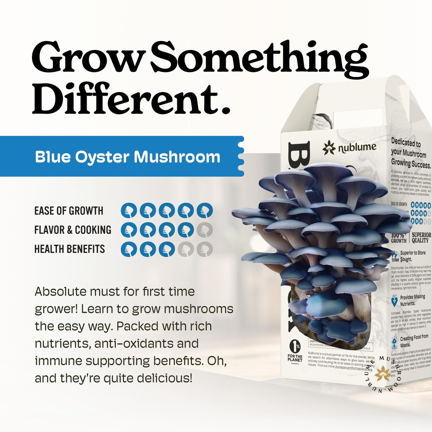 Mushroom growing kit with text promoting blue oyster mushrooms and their benefits.