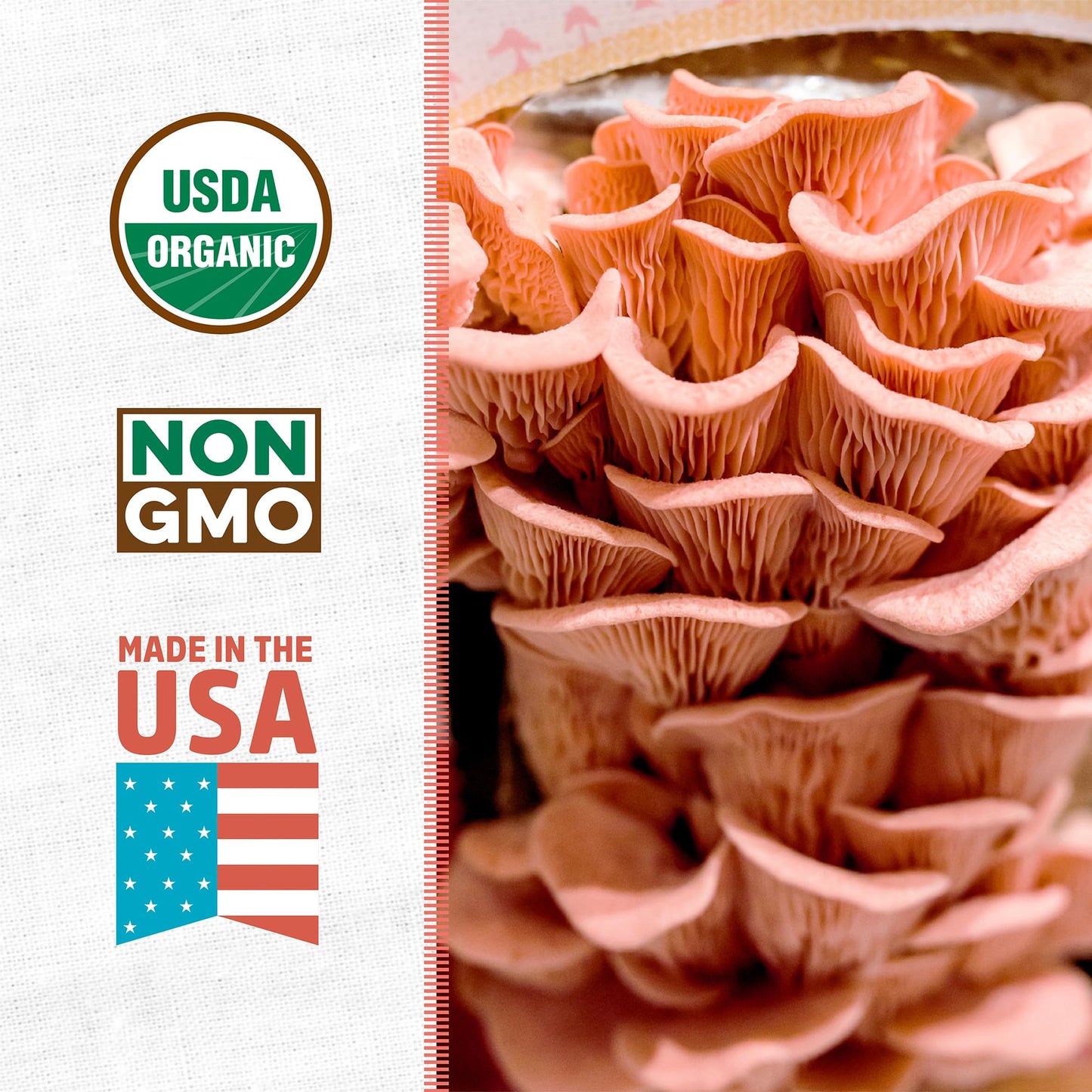 Close-up of pink oyster mushrooms with USDA Organic, Non-GMO, and Made in the USA labels on a white background.