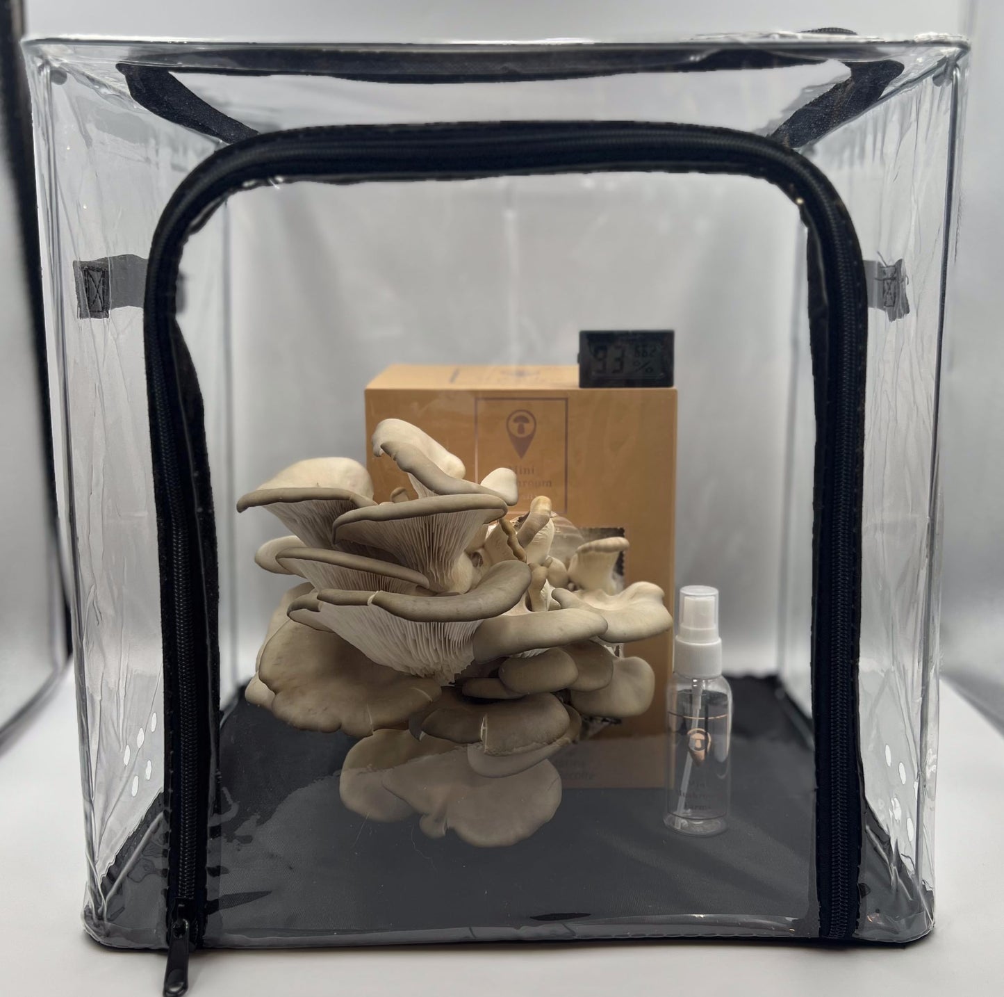 Clear plastic cube with mushrooms, a box, and a bottle inside on a white background
