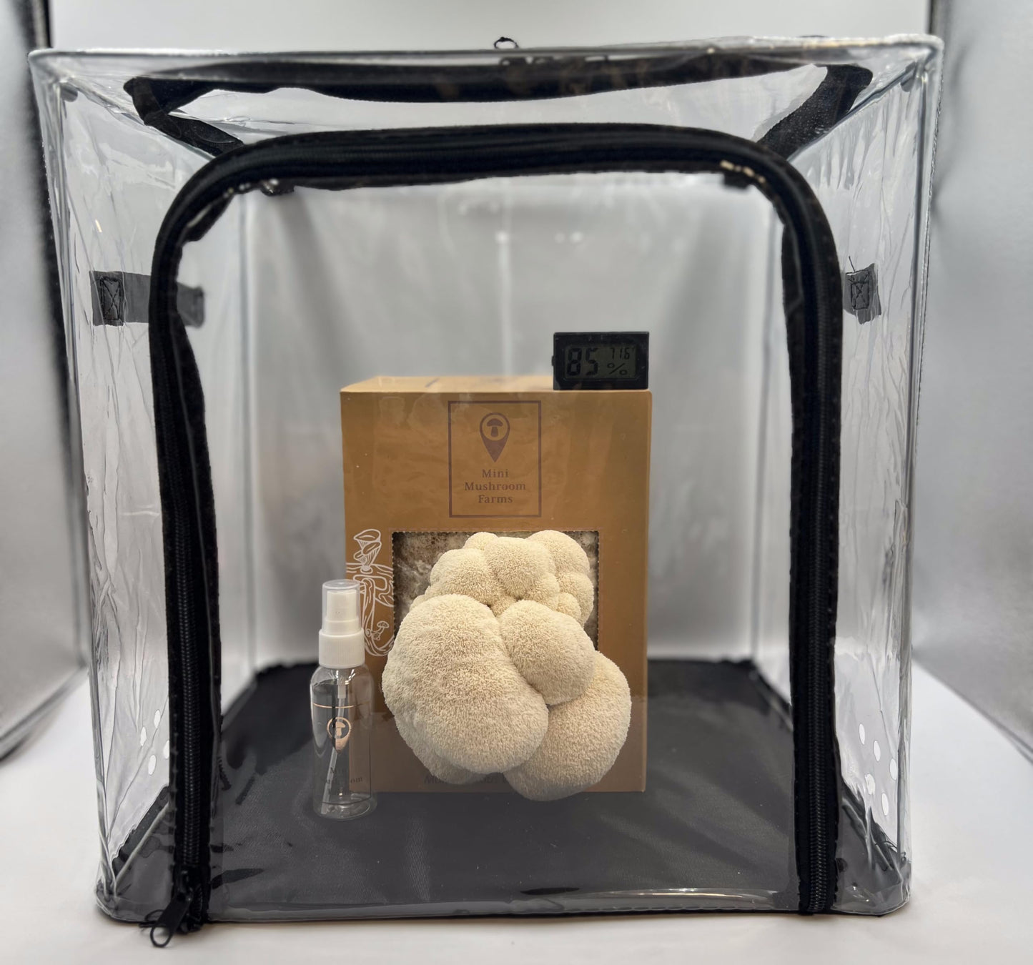 Lion’s Mane Mushroom Grow Bundle