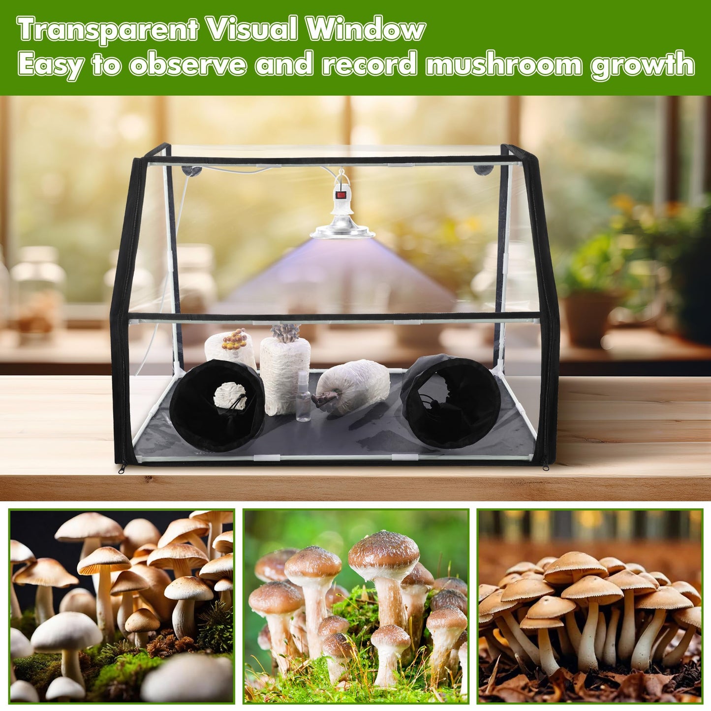 Mushroom growth chamber with transparent window and images of mushrooms on a wooden surface.