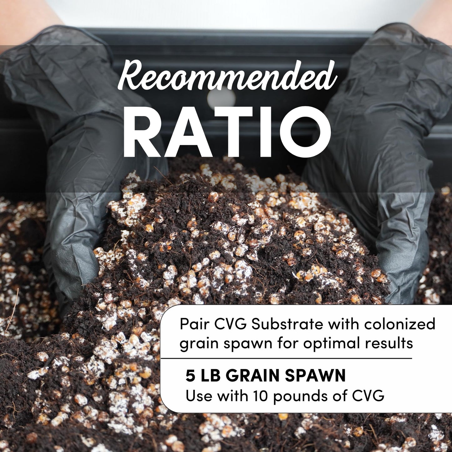 Black gloves holding soil with text about CVG Substrate and grain spawn ratio