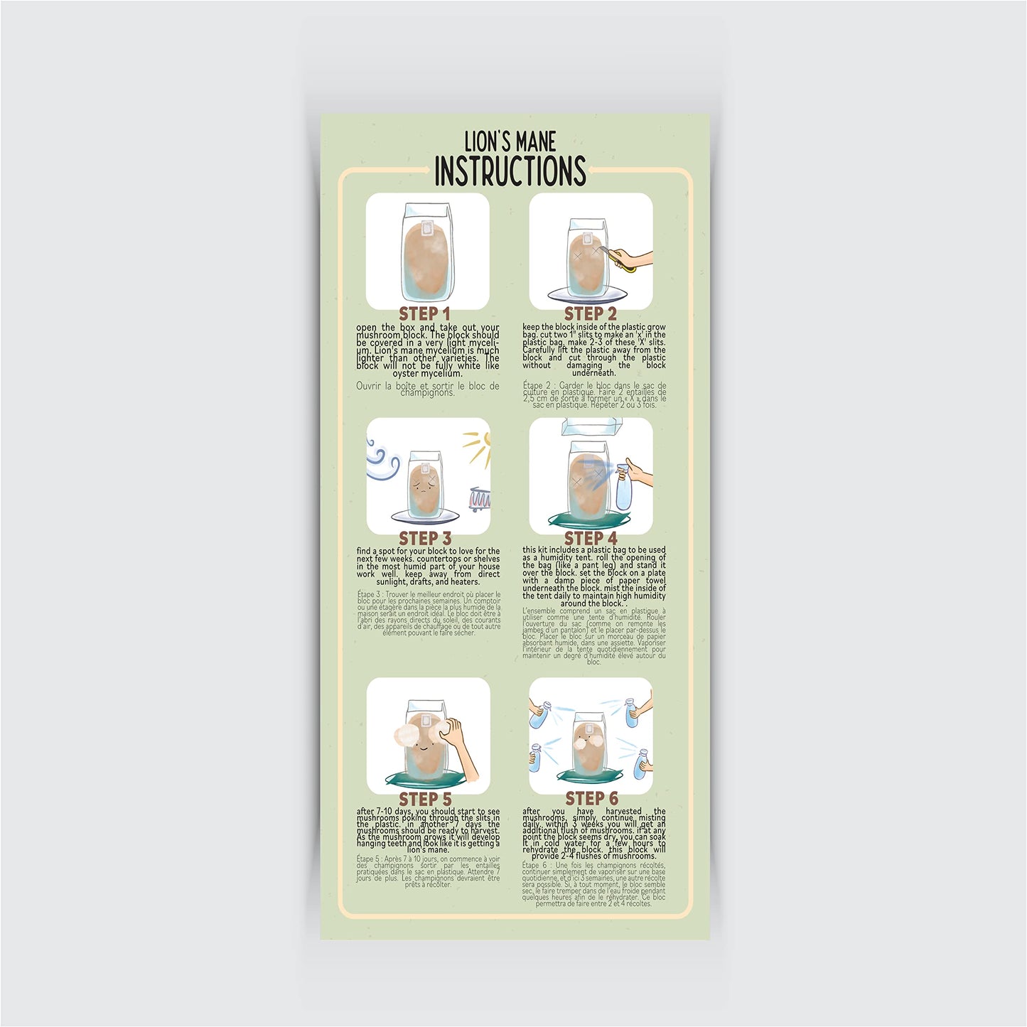 Instructions for using Lion's Mane on a light gray background