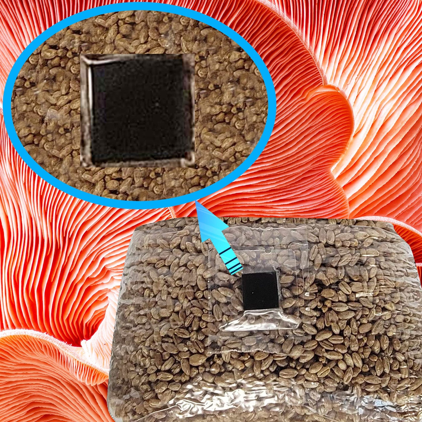 Close-up of a block of material with a black square embedded, on a textured red and orange background.