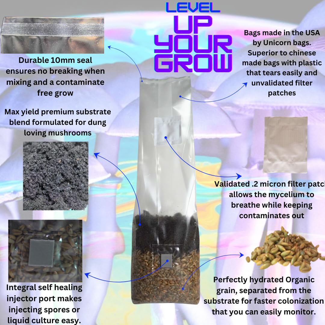 Promotional graphic for mushroom growing bags with text and images of bags and substrates.