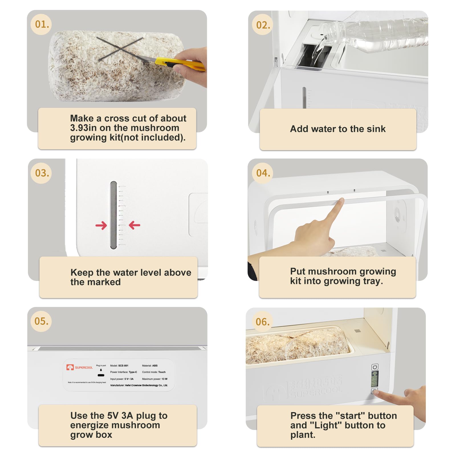 Step-by-step guide for mushroom growing with labeled instructions on a white background