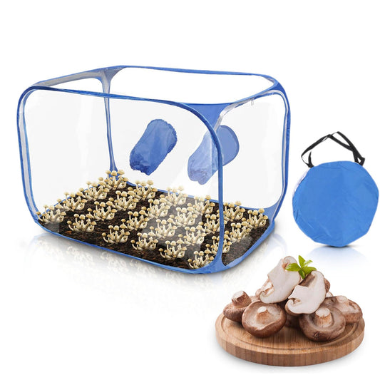 Clear grow tent with soil and sprouts, blue carrying case, and sliced mushrooms on a wooden board.