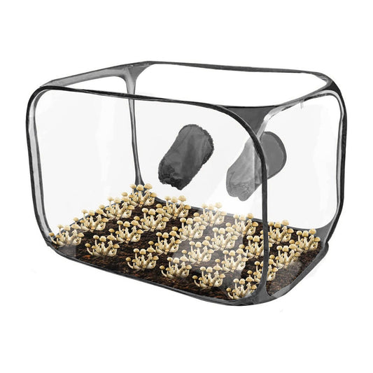 Portable Mushroom Grow Tent Kit