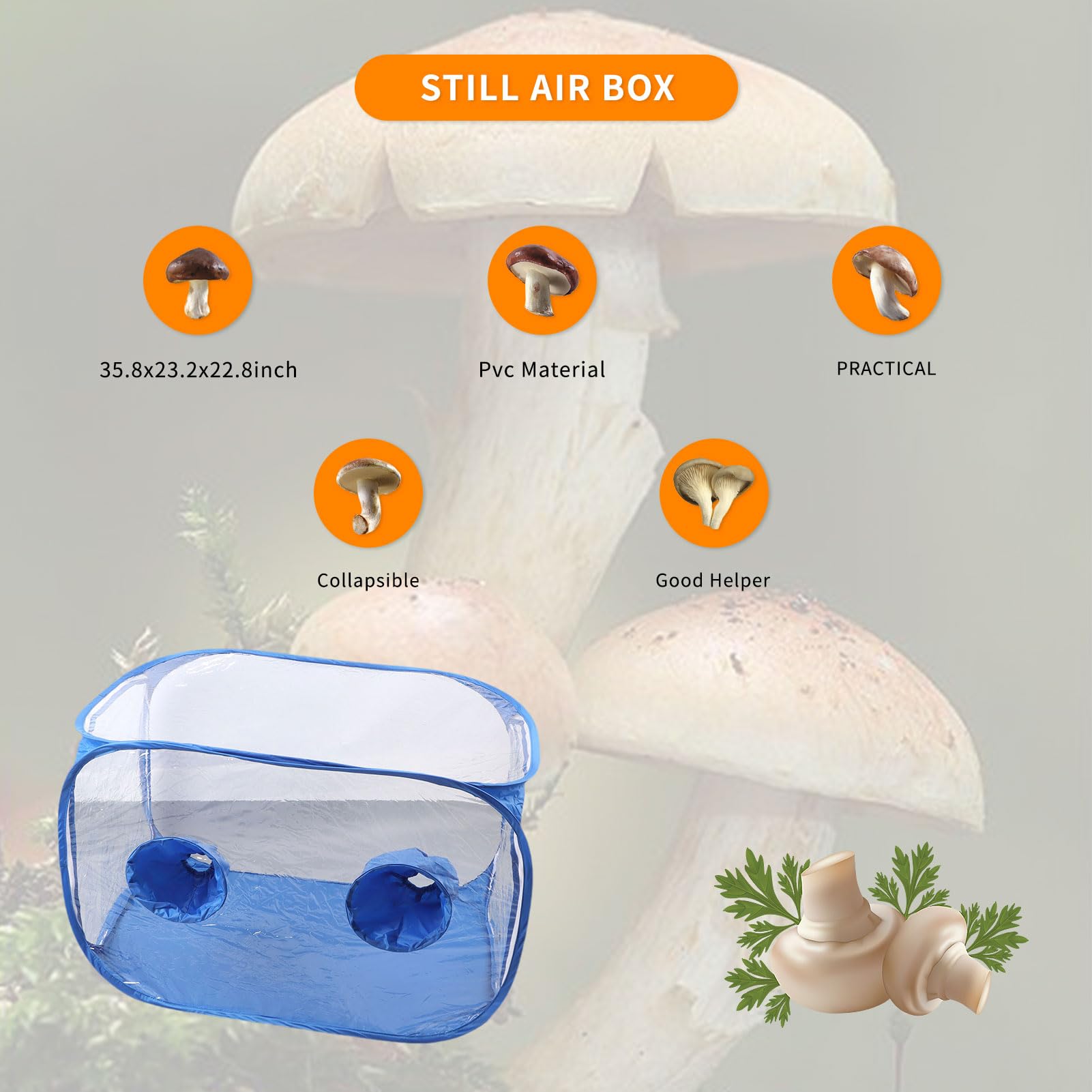 Blue mushroom growing box with text on a gray background