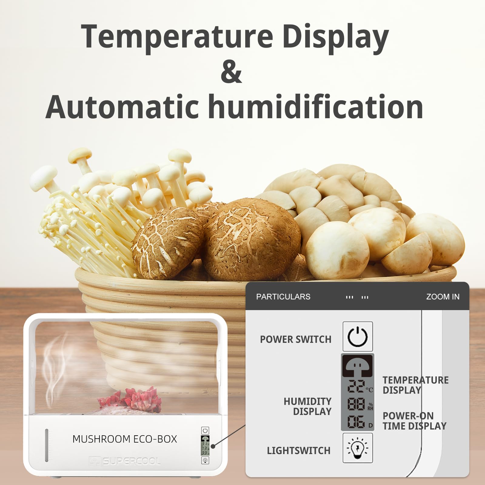 Mushroom eco-box with temperature display and automatic humidification features on a wooden surface.